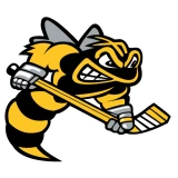 Sarnia Sting Sarnia Sting
