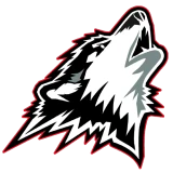 Rouyn-Noranda, Huskies Rouyn-Noranda, Huskies