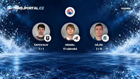 Matyáš Šapovaliv (Henderson), Michael Hrabal (Tucson), Libor Hájek (San Jose) – AHL